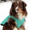 Alpine Extreme Cold Puffer Coat- Arcadia