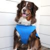 Alpine - Tuf Terrain Coat - Mountain Lake