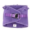 Paisley Purple