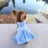 Blue Daisy Dog Dress with Matching Leash