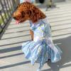 Blue Daisy Dog Dress with Matching Leash