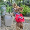 Cherry Stripe Harness Dress with Matching Leash