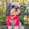 Color-Block Flex Fit Hoodie - Pink on Gray