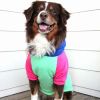 Color-Block Flex Fit Hoodie - Pink on Mint