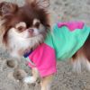 Color-Block Flex Fit Hoodie - Pink on Mint