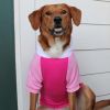 Color-Block Flex Fit Hoodie - Pink on Pink