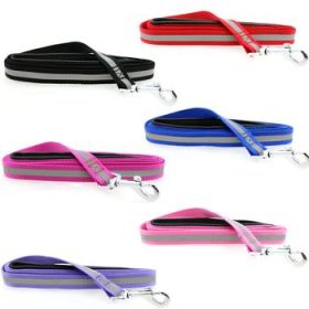 Basic Reflective Dog Leash - Candy Pink