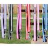 Basic Reflective Dog Leash - Candy Pink