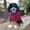 Soft Plush Pullover Burgundy