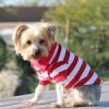 Polos Striped - Flame Scarlet Red & White