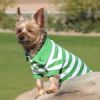 Polos Striped - Greenery & White