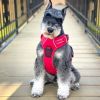 Venture Paw Harness - Crimson -