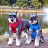 Venture Paw Harness - Crimson -