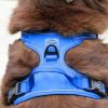 Venture Paw Harness - Mountain Lake