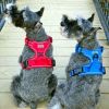 Venture Paw Harness - Mountain Lake