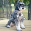 Venture Paw Harness - Sage -